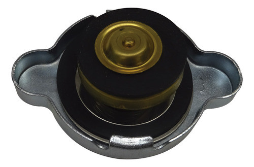 Tapa Radiador Agua Kwid 1