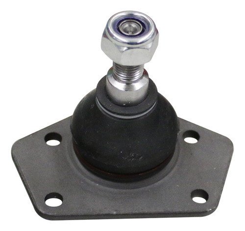 Rotula Susp.inf.r-12 0