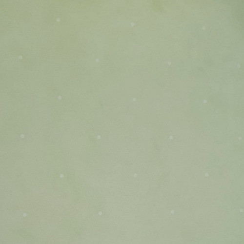 Empapelado Muresco Vinilico 57133 Verde Pintitas Blanco Soul 1