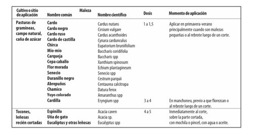 Vantor 101- Herbicida Control Arbustos, Chilcas, Tocones- 5l 1