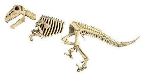 Diseño Toscano Raptor Skeleton Garden Sculpture 0