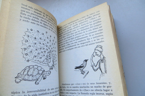 Hablaba Con Las Bestias, Los Peces Y Los Páj Konrad Lorenz 1