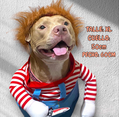 Disfraz Perro Chuky Importado 1