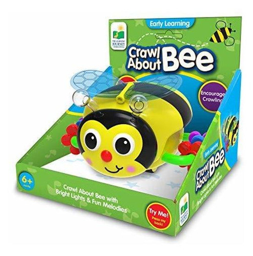 El Viaje De Aprendizaje Gatear Sobre La Abeja - Ayuda Para E 0