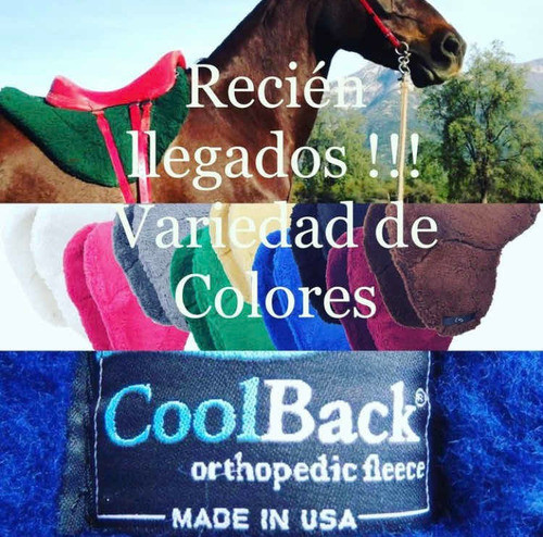 Mandil Coolback Eeuu 1