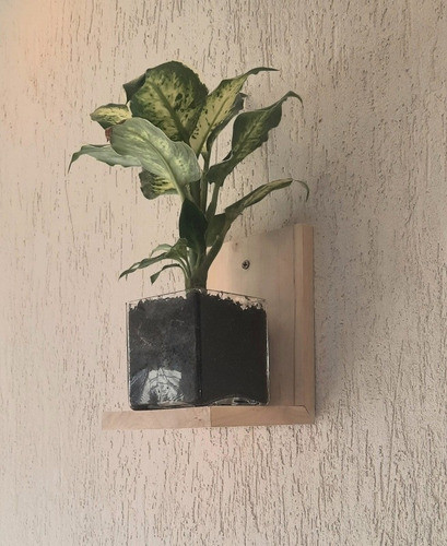 Porta Macetas Madera De Álamo Para Colgar 20x15x15 1