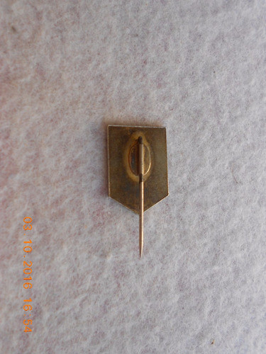 Lucheto Pin Esmaltado Medicina Centro De Estudios De La Mama 1