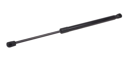 Kit X 2 Amortiguador Porton Renault Megane 3 Corto 1