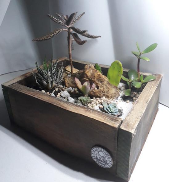 Terrarios Box Madera Grande 1 Terrarios Box Madera Grande 1
