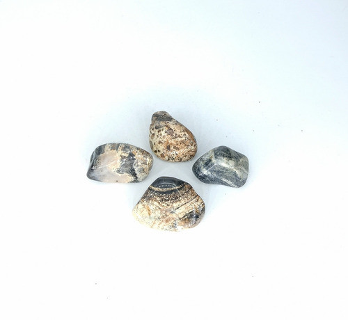 Jaspe Print - Ixtlan Minerales 0