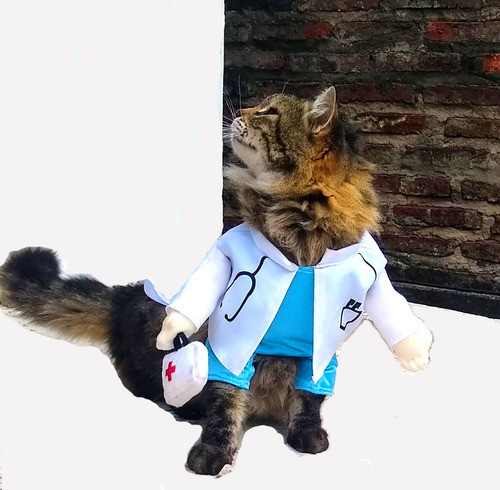 Traje Enfermera Gato Cosplay Mascota 1