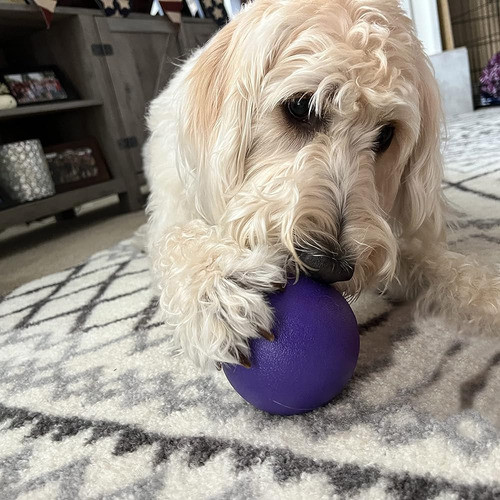 Simpledog Doggie Dooley Ball Juguete De Bola Para Perros De 1