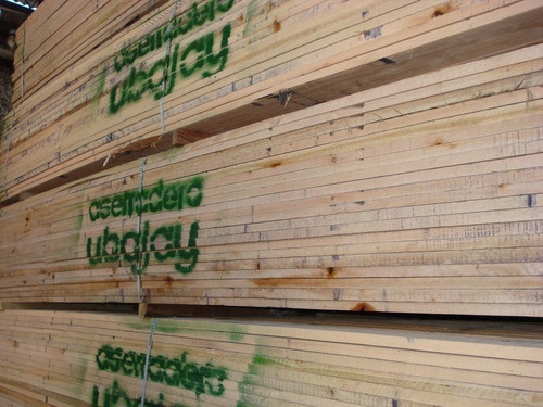 Madera Saligna Tablas De 1 X 6 X 4 Mts 0