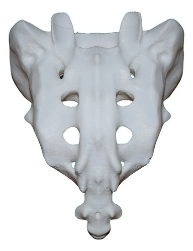 Sacro Impreso En 3d 0