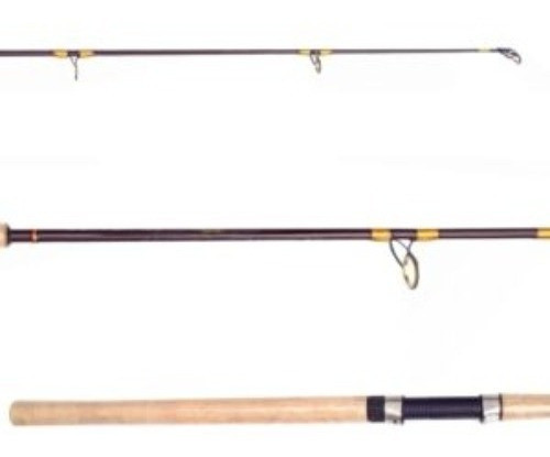 Caña Masterfish Copper 2.10 2 Tramos Variada Rio Laguna 1