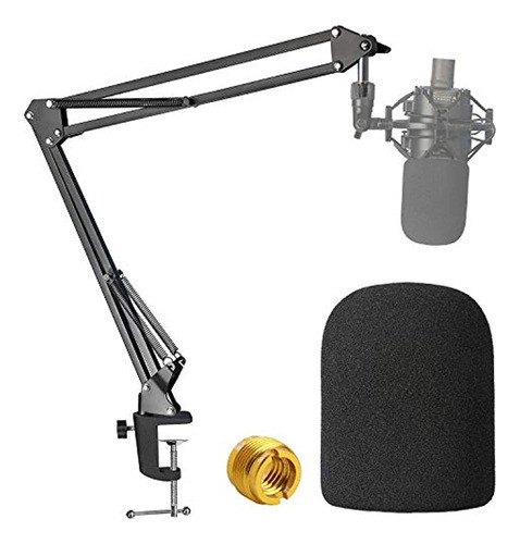 At2020 Mic Boom Arm Con Pantalla De Viento De Espuma, 0