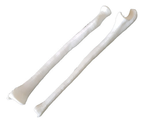 Radio Y Cubito Anatomia Humana Impresion 3d 0