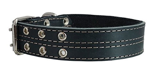 Collar De Perro De Cuero Genuino, Acolchado, Negro 1.5  De A 1