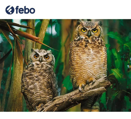 Puzzle Trefl Owls Buhos 1000 Piezas Febo 1