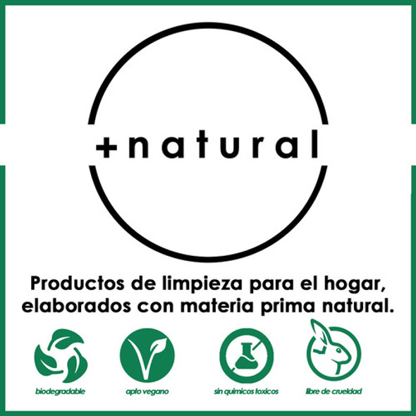 Kit Multiuso Limpieza Natural Cocina-baño-piso Biodegradable 1