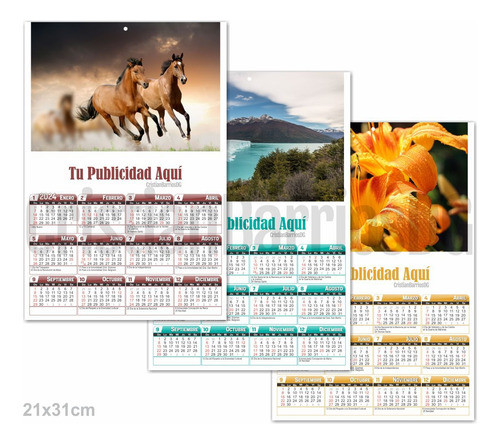 Almanaques Personalizados X100 21x31cm 0