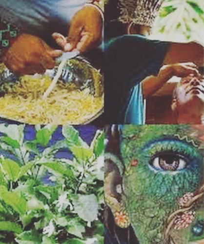 Sananga 0