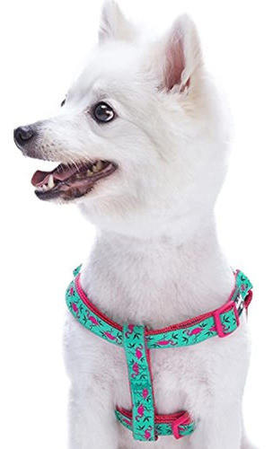 Arnes De Perro De Diseño Rosa Flamenco O Mariquita Blueber 1