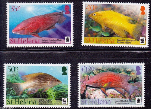 2011 Wwf Fauna - Peces- Pez Gato - Santa Helena Mnh 0
