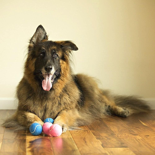 Midlee Happy Birthday Dog Tennis Balls (6 Pack) (regular, Az 1