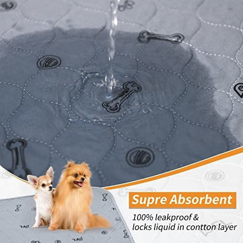2 Alfombras Para Orina De Perro Impermeable (45cmx60cm) 1