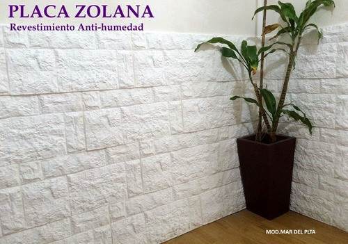 Zolana Placas Antihumedad Para Paredes En Yeso Anti Humedad 0