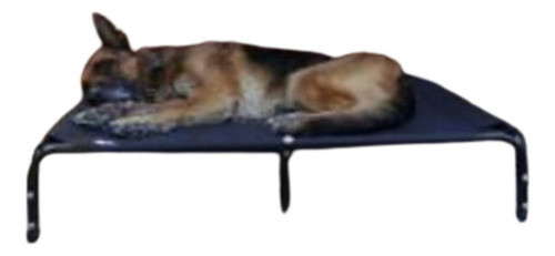 Catre Xl 90cmx100cm (mascotas Pesadas ) 0