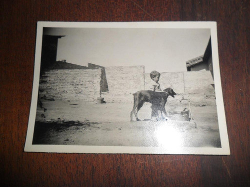 Antigua Foto Fotografia Niño Perro Doberman 1956 Canino Can 0