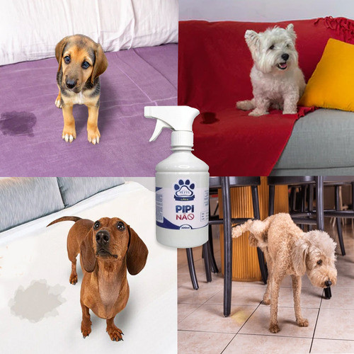 Repelente Educador Spray Pipi Aca No Vetys 500ml Perro Gato® 1