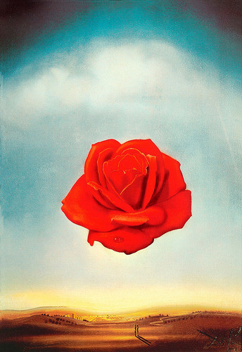 Lamina Fine Art Rosa Meditativa Dalí Editado 96x66 Cm 0