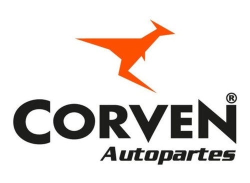 Kit 2 Amortiguadores Delanteros Renault Fluence Megane 3 1