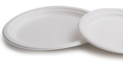 Plato Biodegradab 15 Cm - Ecológico 100% Caña Azúcar Bagazo 0