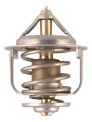 Termostato 82º 48mm C/goma Faw N52014 0
