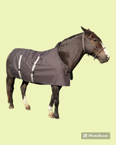 Manta Térmica Caballos 1