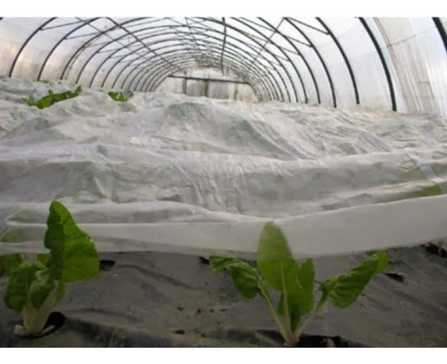 Tela Antihelada 2,8m X 50m Con Filtro Uv 1