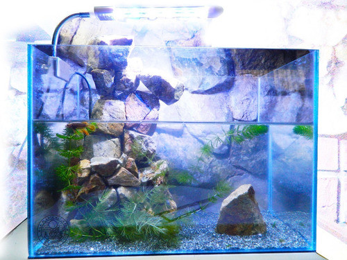 Cascada En Roca Hueso / Acuaterrario 35cmx 25cmx 18.5cm 1