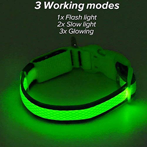 Collar De Perro Led Clan-x, Collares Luminosos Recargables U 1