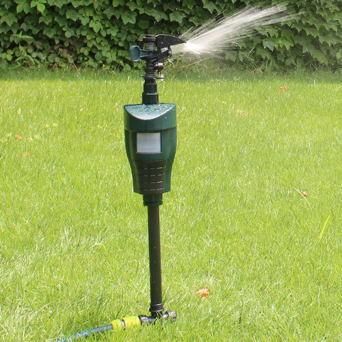 Repelente Aspersor Espantapájaros De Jardín Srpay Tira Agua 1