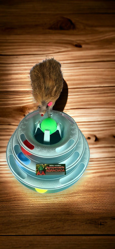 Juguete Interactivo Para Gato Torre De Pistas Con 3 Niveles 1