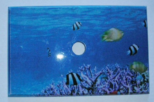Tapa Para Depósito Decorada De Resina Poliester Fondo Mar 2 1