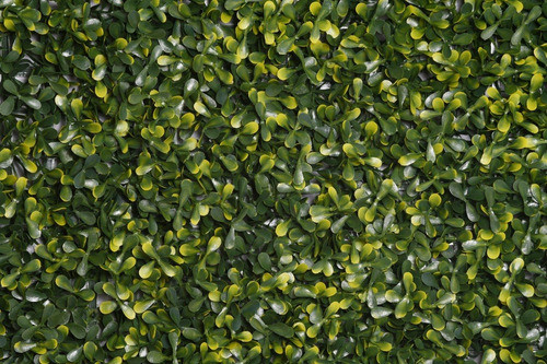Jardín Vertical Muro Verde Artificial Green Rain 50x50 1