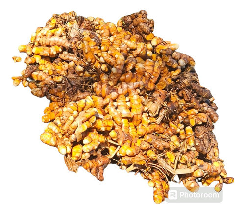 Raíz De Cúrcuma (orgánica) 0