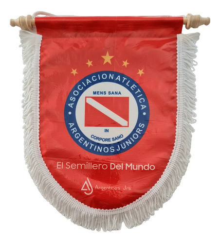 Banderines Acolchonados De 22 Cm X 30 Cm Personalizados!!! 0