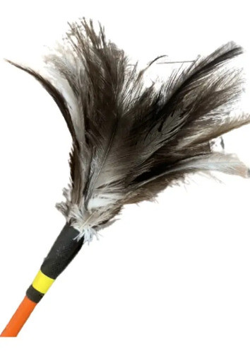 Plumero Chico Natural Plumas Ñandu. Pack X 12 Unidades 1
