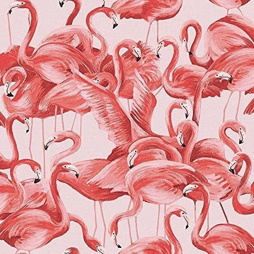 Vinilo Decorativo Flamencos  /rollo 0.52x5m/ X2u 0
